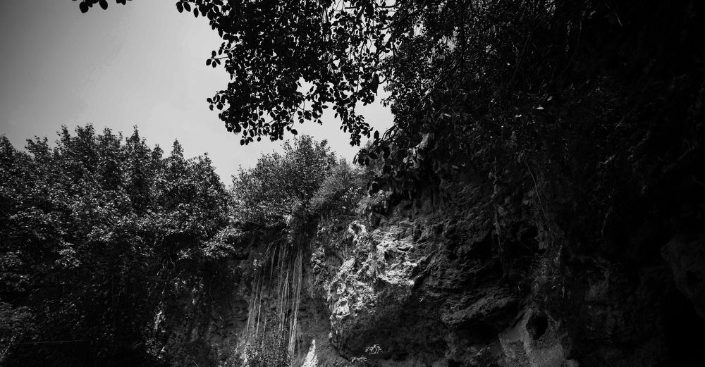 nostalgia of the forgotten