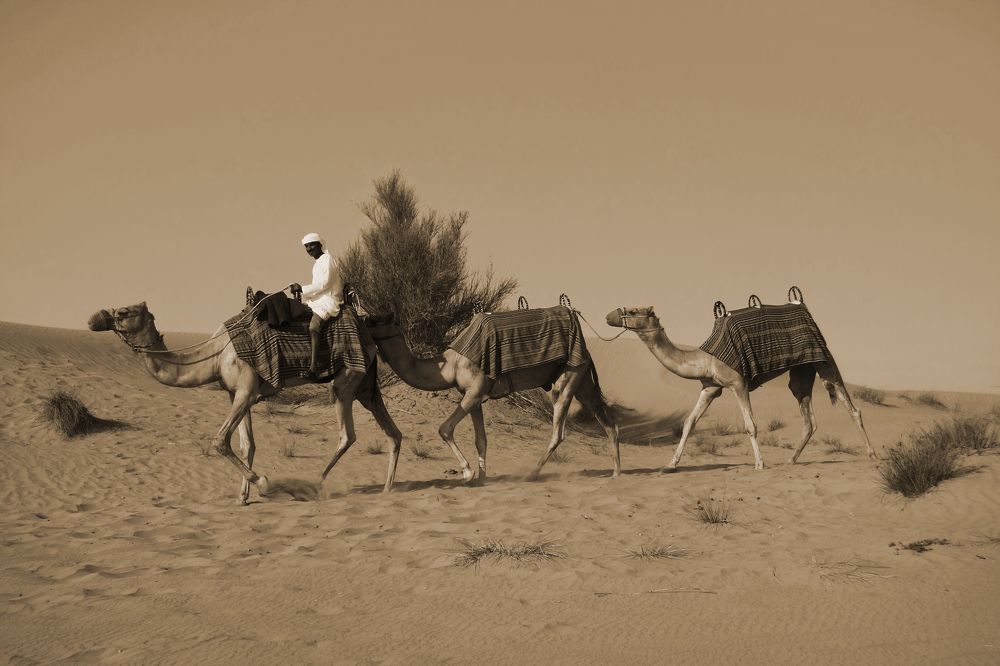 Photograph by Yelena Khaitova