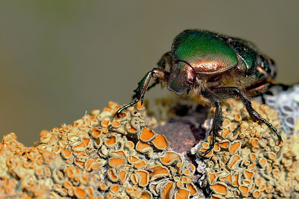 Photograph by Игорь Осипов