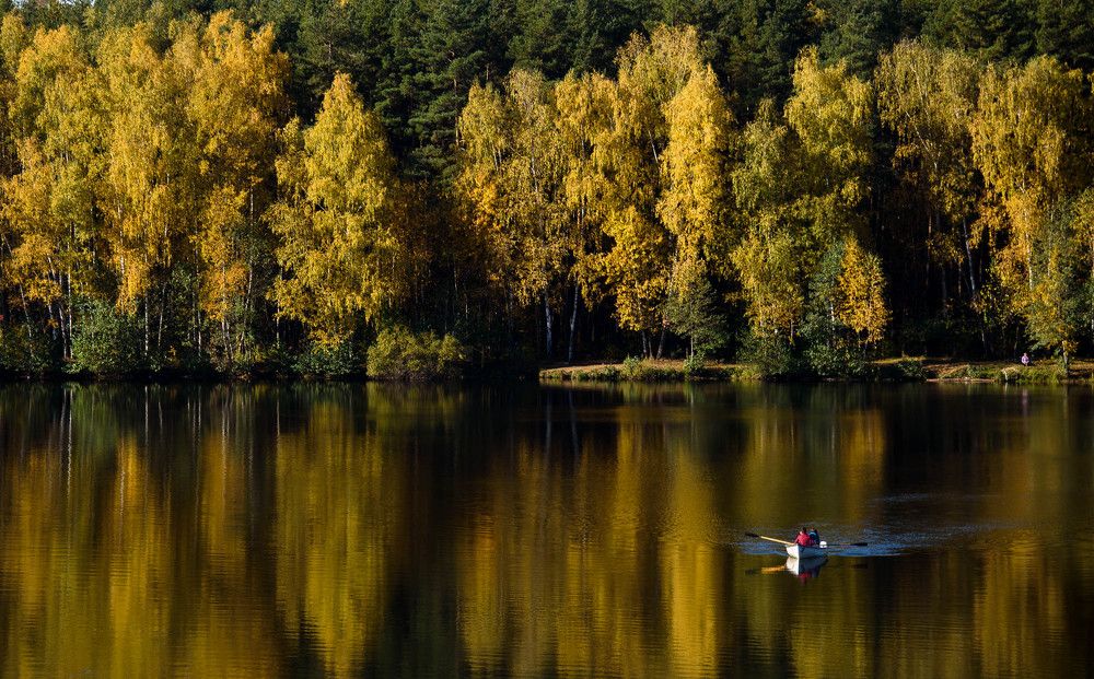 Водное зеркало