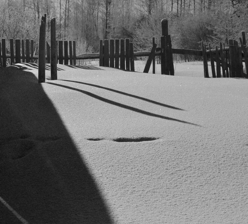 Снег и заборы