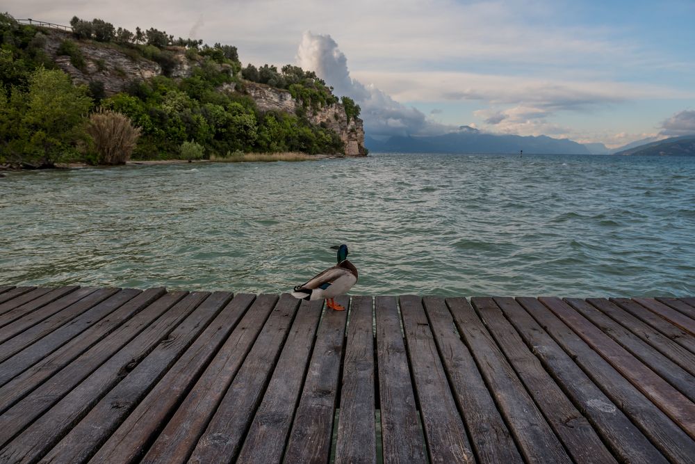 Озеро Гарда