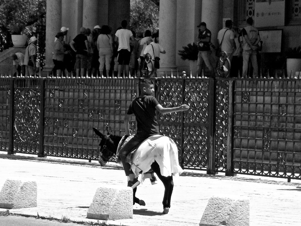 Photograph by Kandubasha