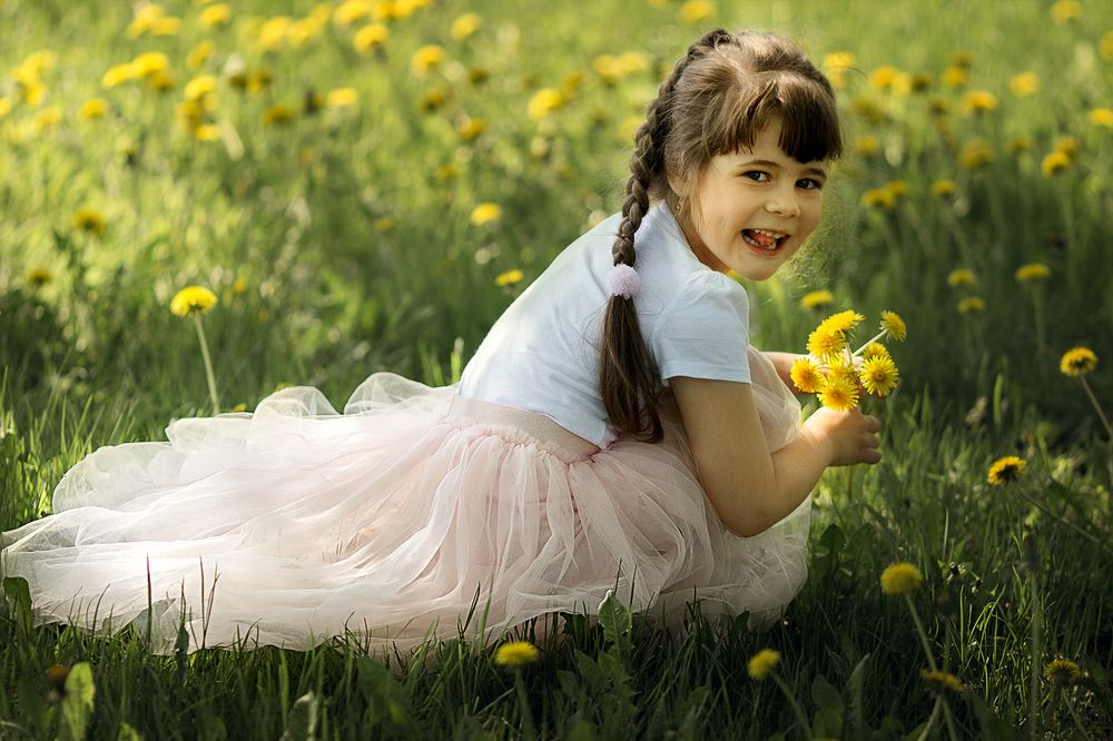 Одуванчики