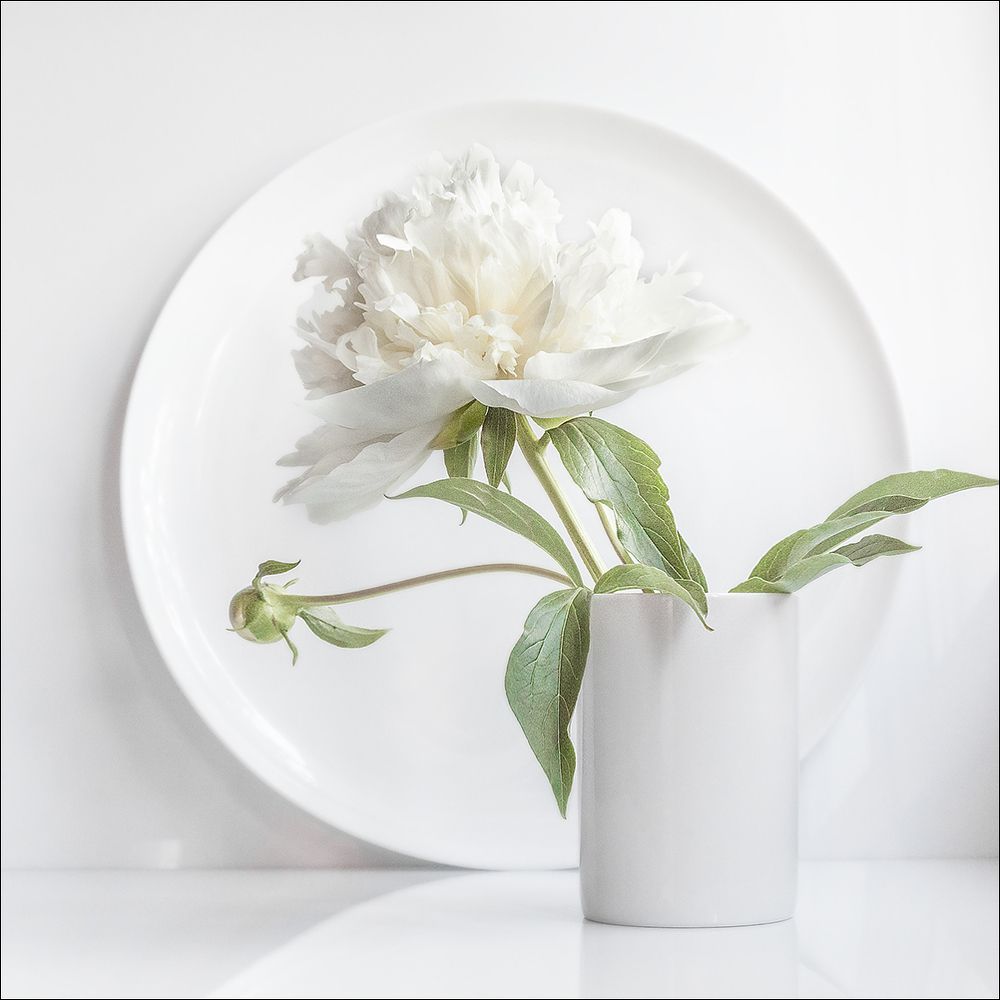 Photograph by Татьяна Макотра