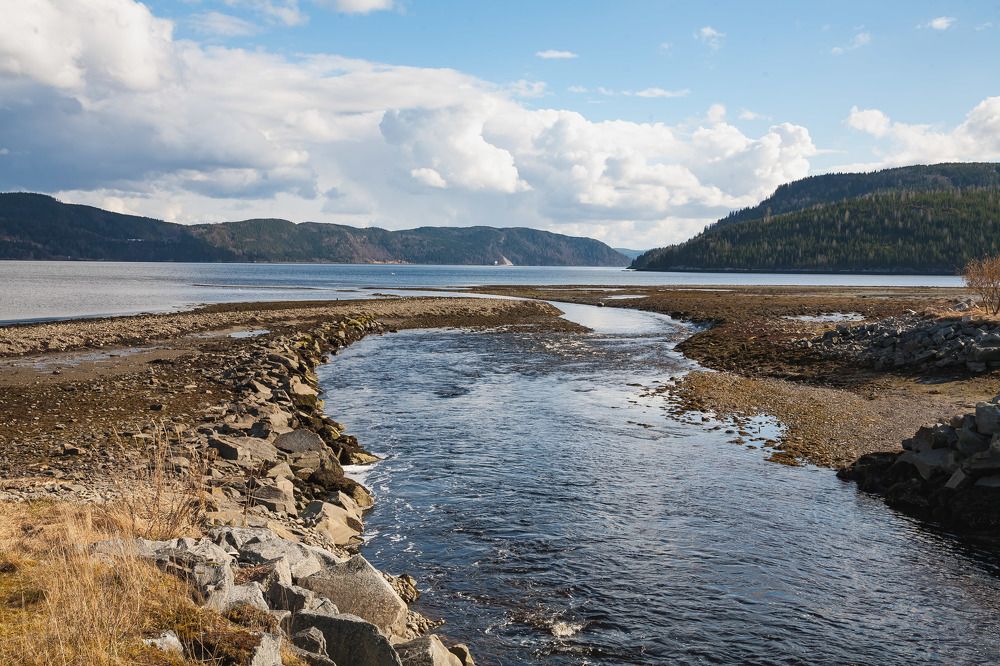 Photograph by Aleksejs Kuropatkins