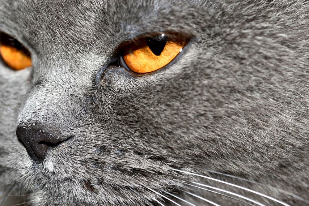 Photograph by Tatiana Filimonova