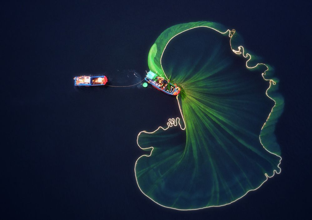 Catch fishes in the ocean