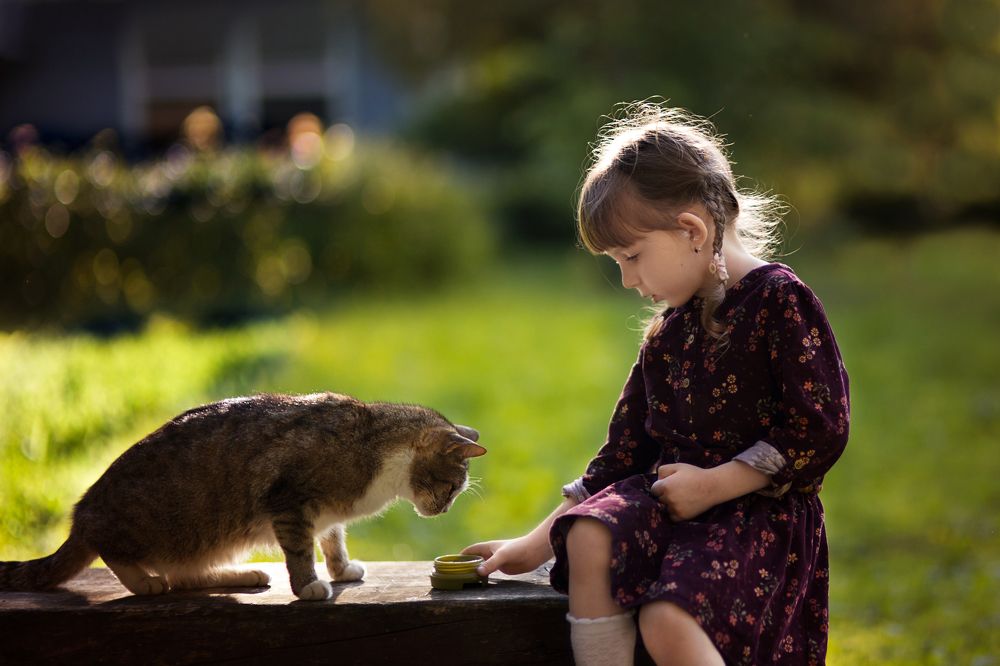 Photograph by Алена Федосова