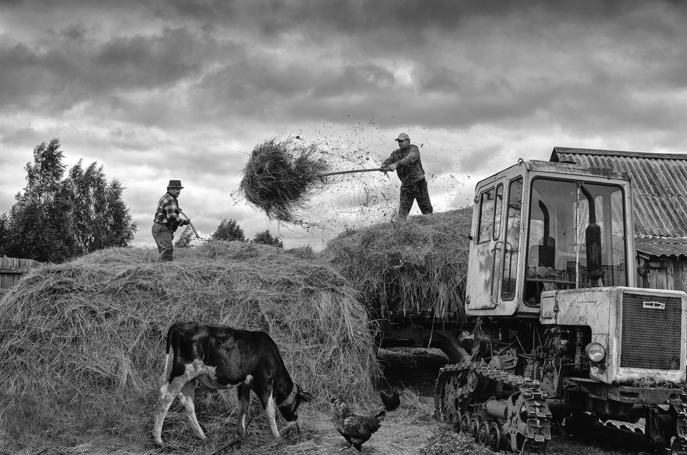 Успеть до дождя