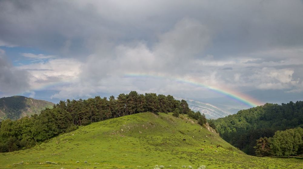 Радуга-дуга