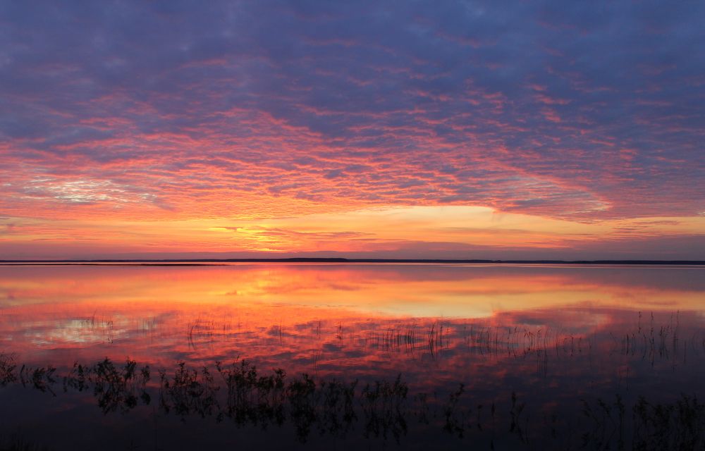 Рассвет над Мологой