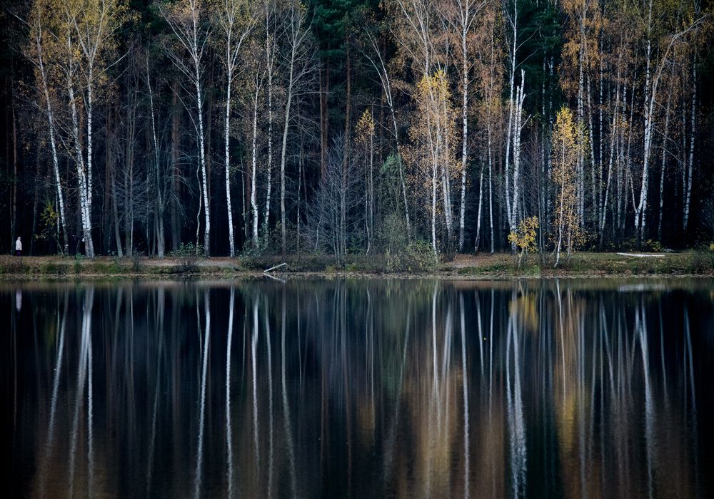 Осенние линии