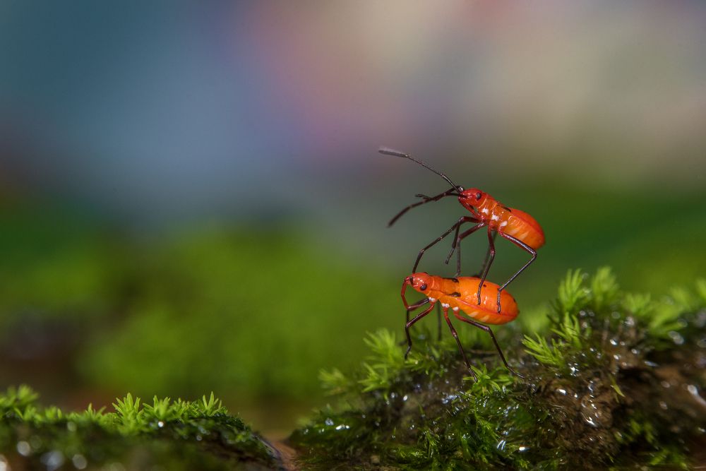 Don't Let Me Down....