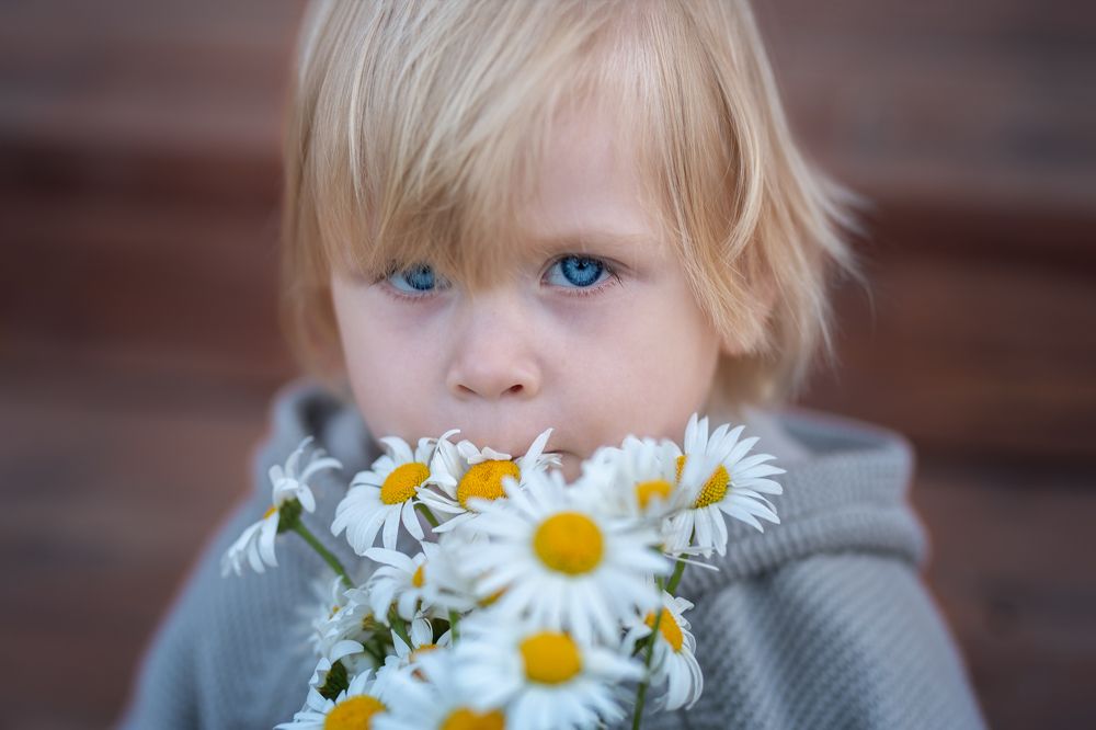 Синеглазка