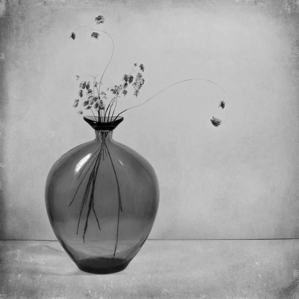 Фотография автора Людмила Прокофьева