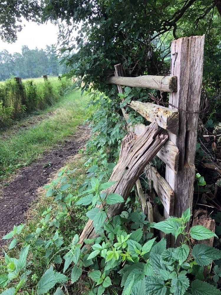 Дорога на ферму.