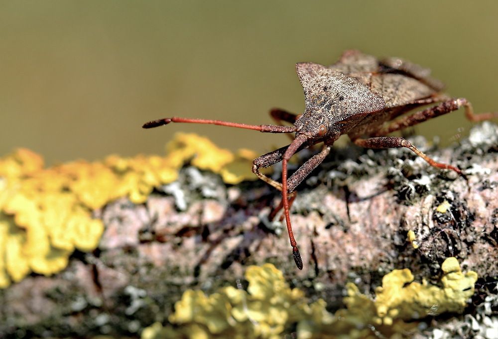 Photograph by Игорь Осипов