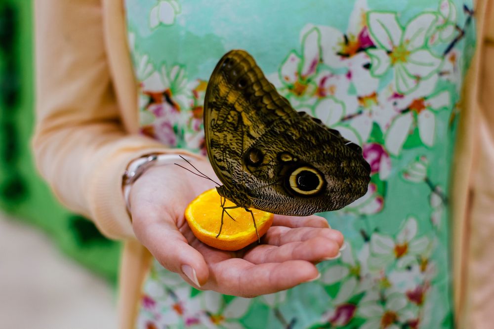 Photograph by Андрей