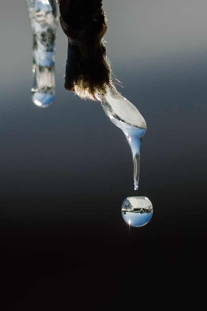 Photograph by Андрей