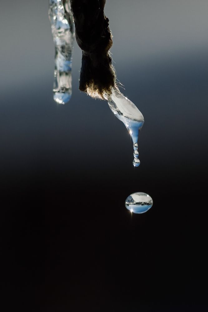 Photograph by Андрей