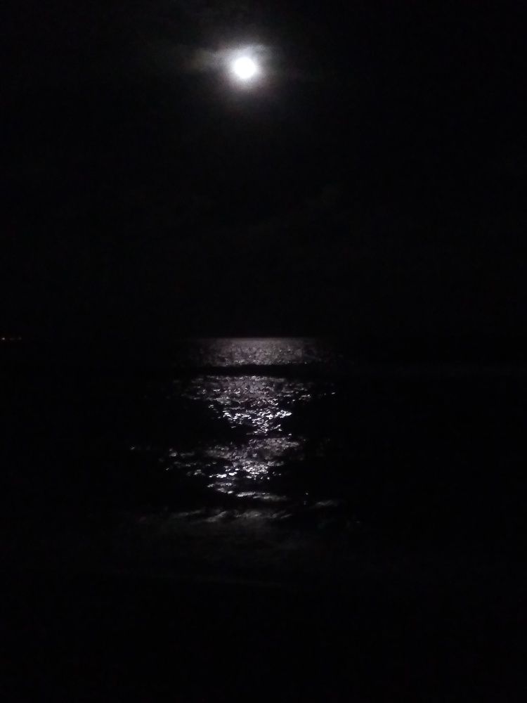 Full moon