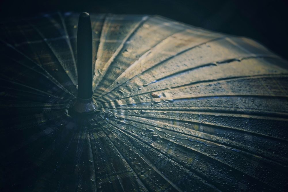 Umbrella