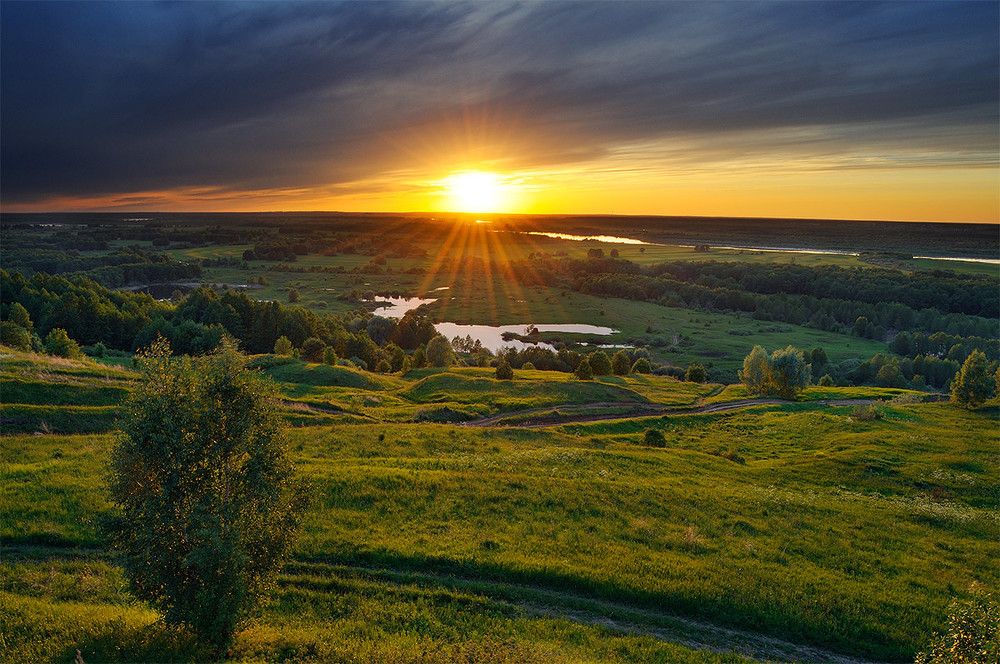Заказ Нижегородский