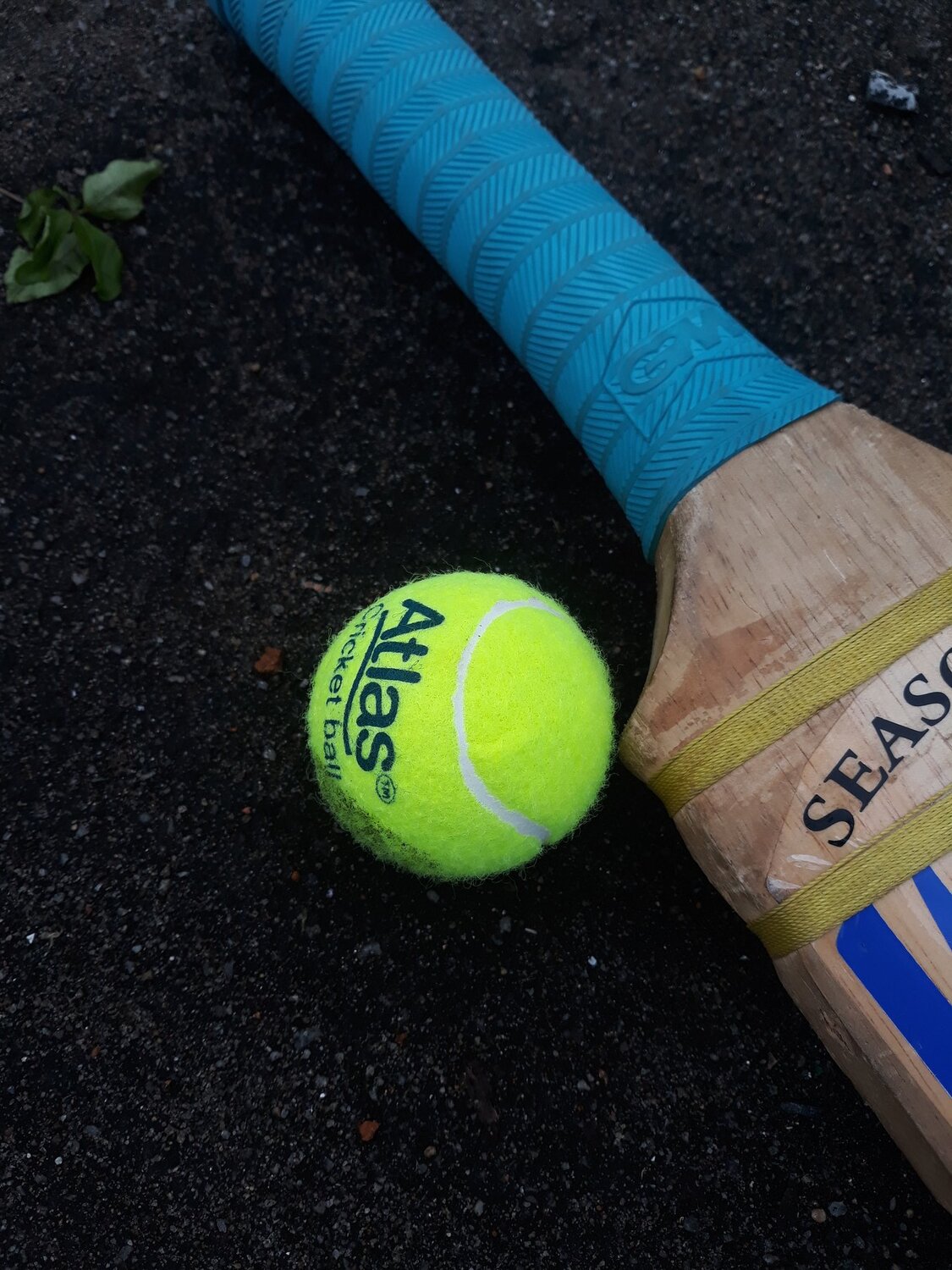 Cricket is My Breath