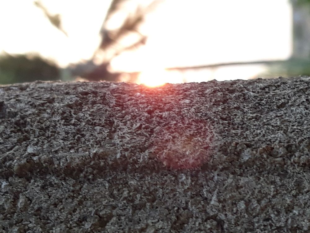 Sunset Viewer