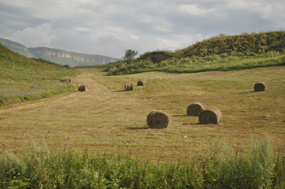 Сенокос прошёл...