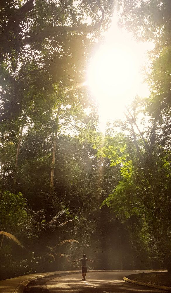 A walk with Mother nature