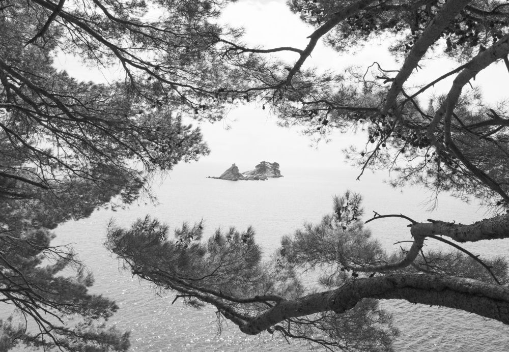 Photograph by Александр Казанцев