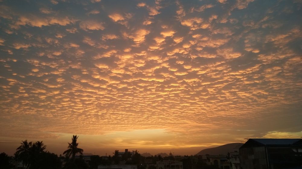 Photograph by K. RAMANA KUMAR