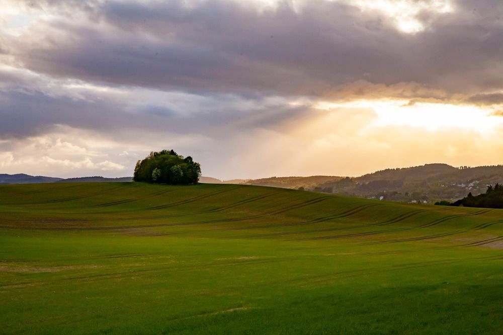 Photograph by Aleksejs Kuropatkins