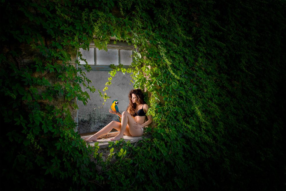 Movsesyan art photography