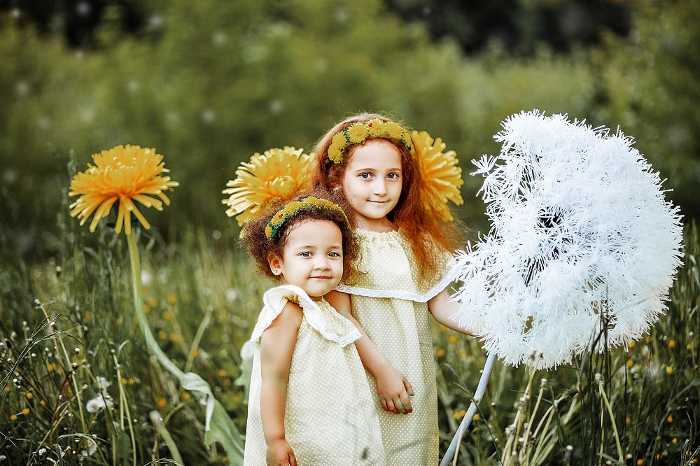 одуванчики