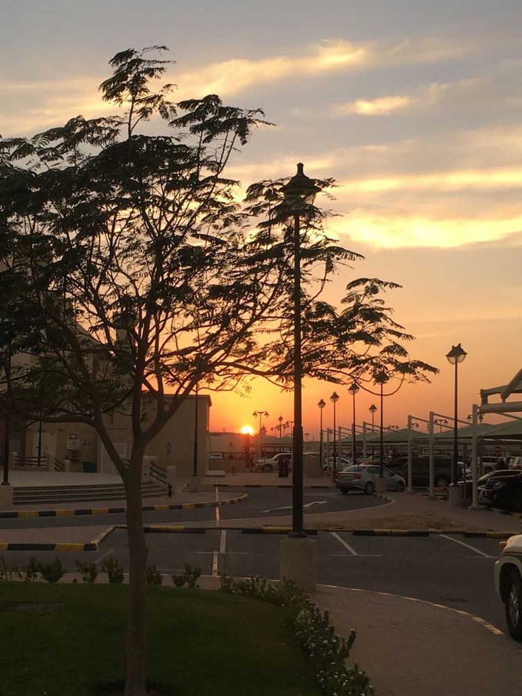 Sun set