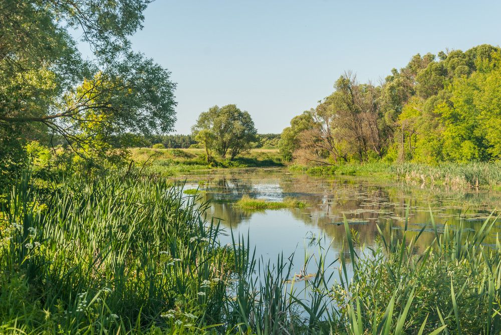 Назад к природе