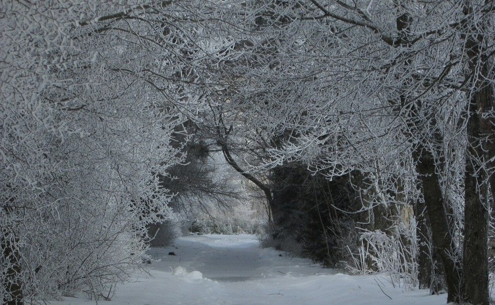 По дороге в сказку