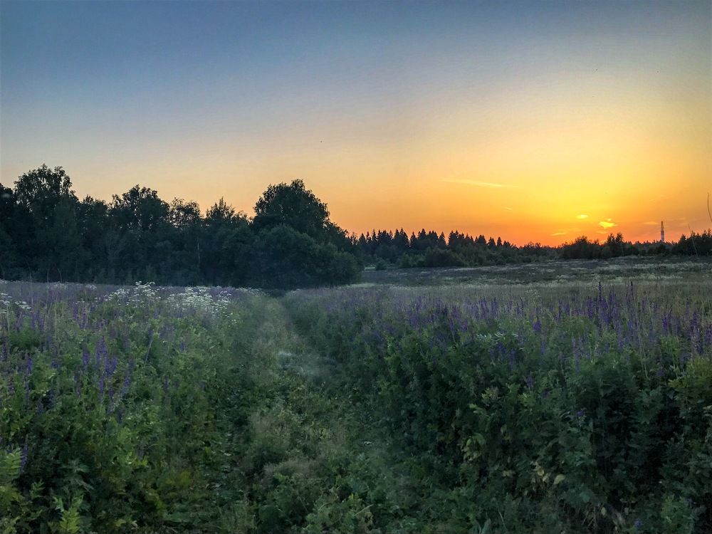 Подмосковный прованс