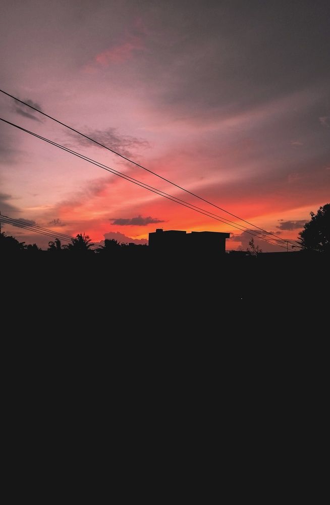 Tame the day