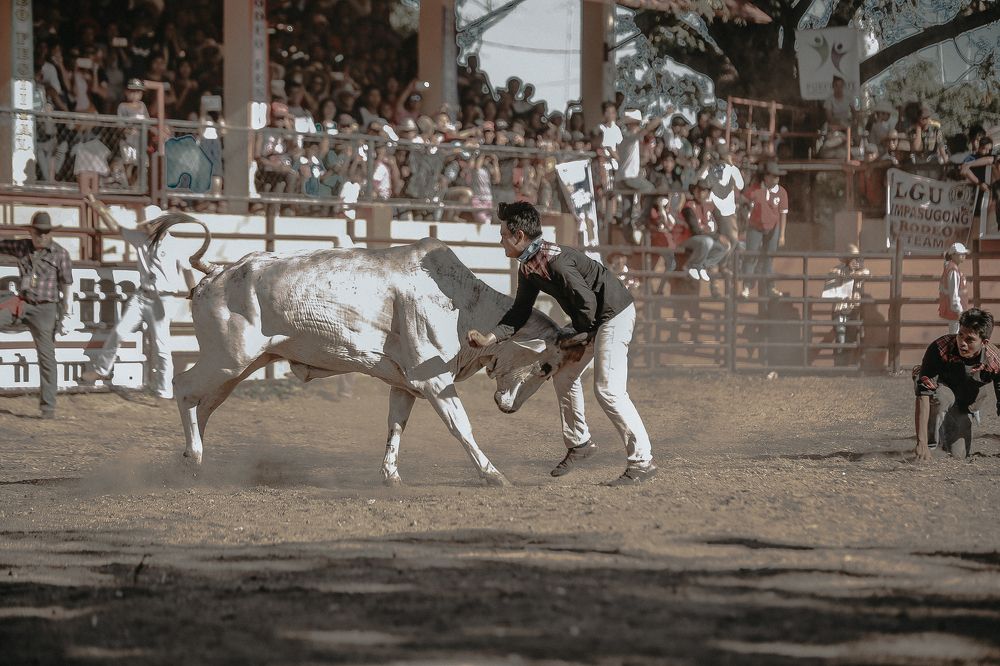 Rodeo Masbatenio
