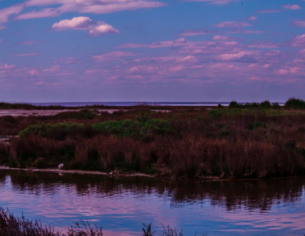 Лето красное