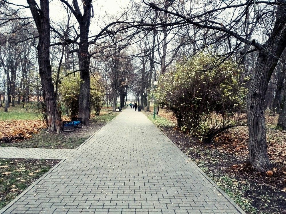 Photo #2383729