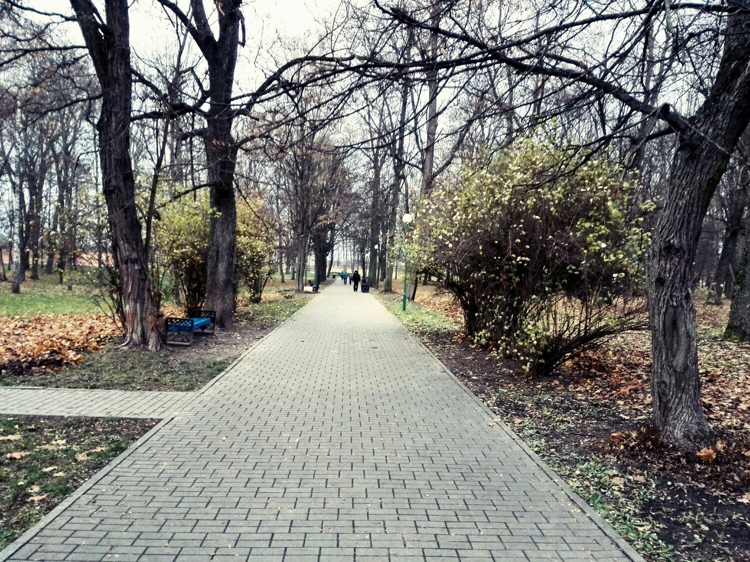 Photo #2383729