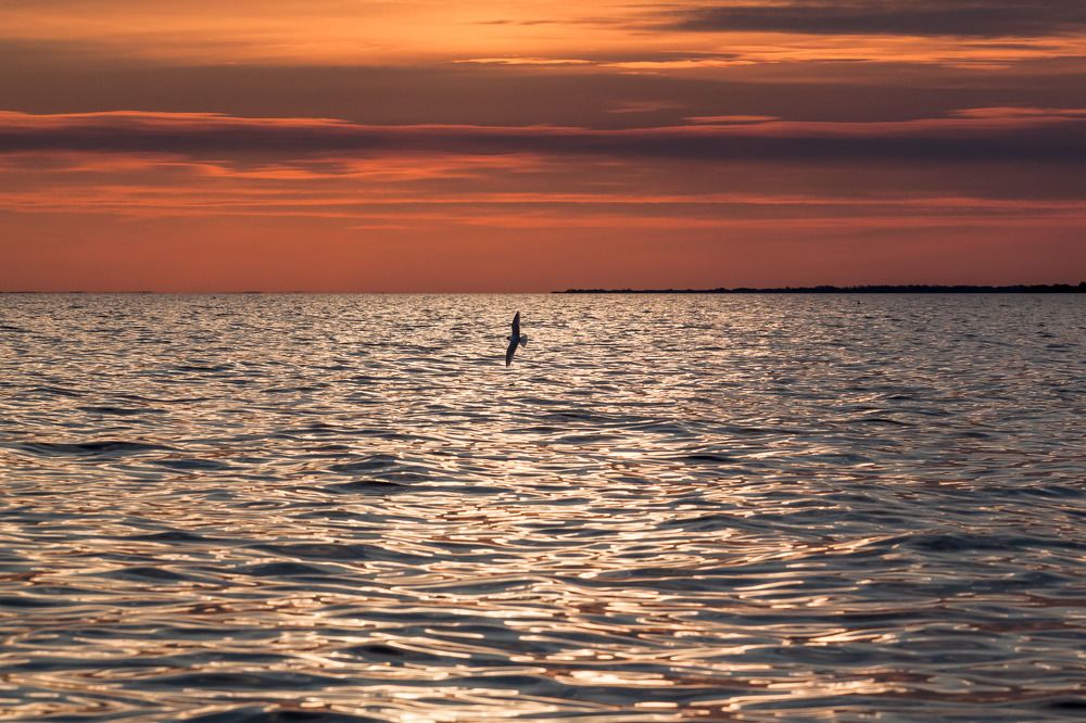 Вечер  на  Рыбинском  водохранилище.