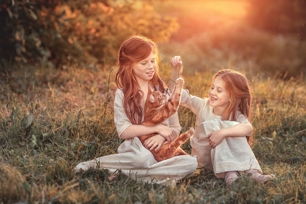 Рыжие забавы