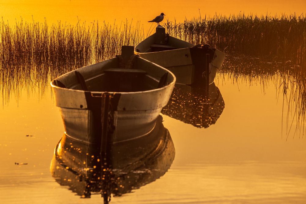 Лодки в закате