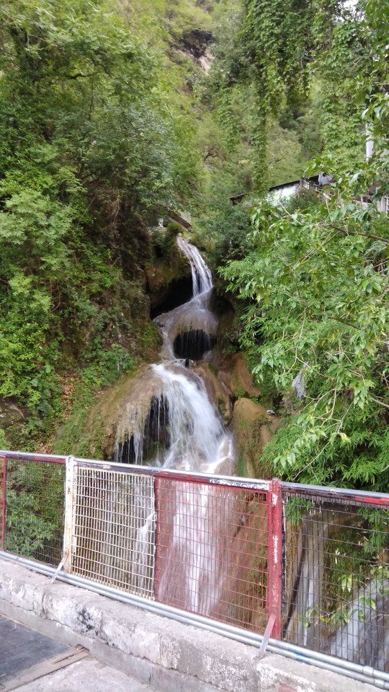 nature